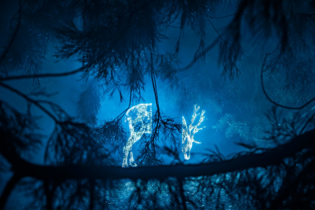 Un grande giardino decorato con luci. Sullo sfondo si vede un edificio di vetro illuminato con luci colorate.